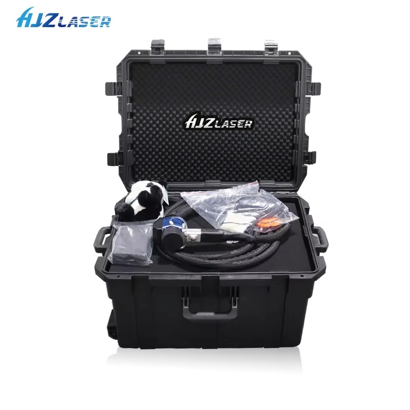 World Top Professional Mini Po - đánh giá và giá Portable Laser Rust Removal